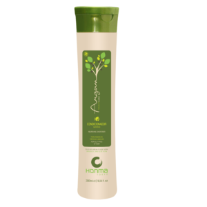 Argan Perfect Care - P2 - Condicionador Nutritivo 300 ml Argan Perfect Care - P2 - Condicionador Nutritivo 300 ml